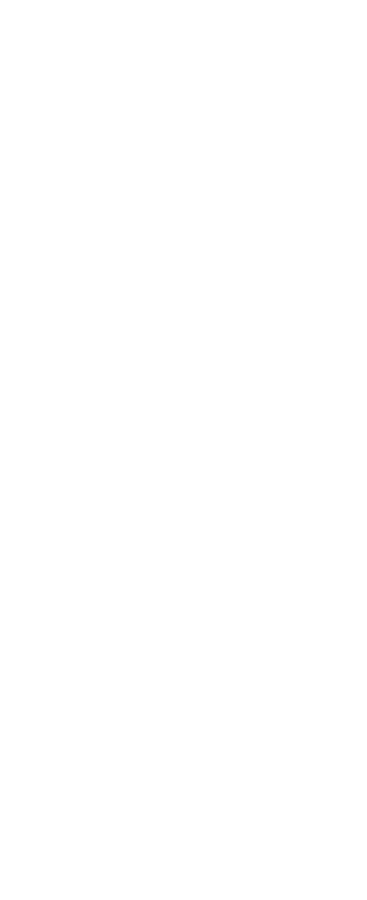 mobile path